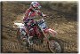 539 - Alberto Lunardi - LUNARDI RACING 2 - MX2 OVER